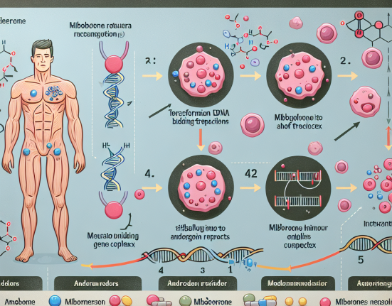 Mibolerone: mechanism of action explained