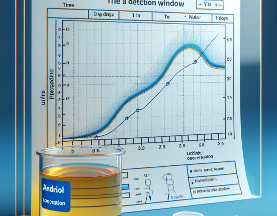 Detection window of andriol in urine tests